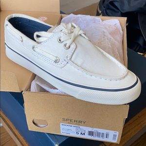 Sperry boat shoe